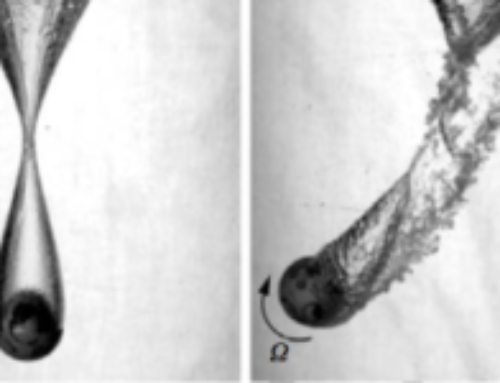 Water-entry of Spinning Spheres, 2009