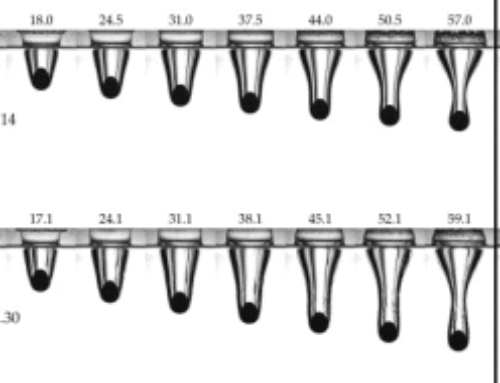 The water entry of decelerating spheres, 2010