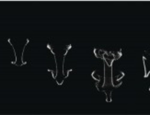 Oil droplet in alcohol, 2010