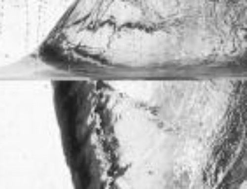 Cavity formation in the wake of a spinning sphere impacting the free surface, 2006